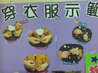 魔法衣櫥